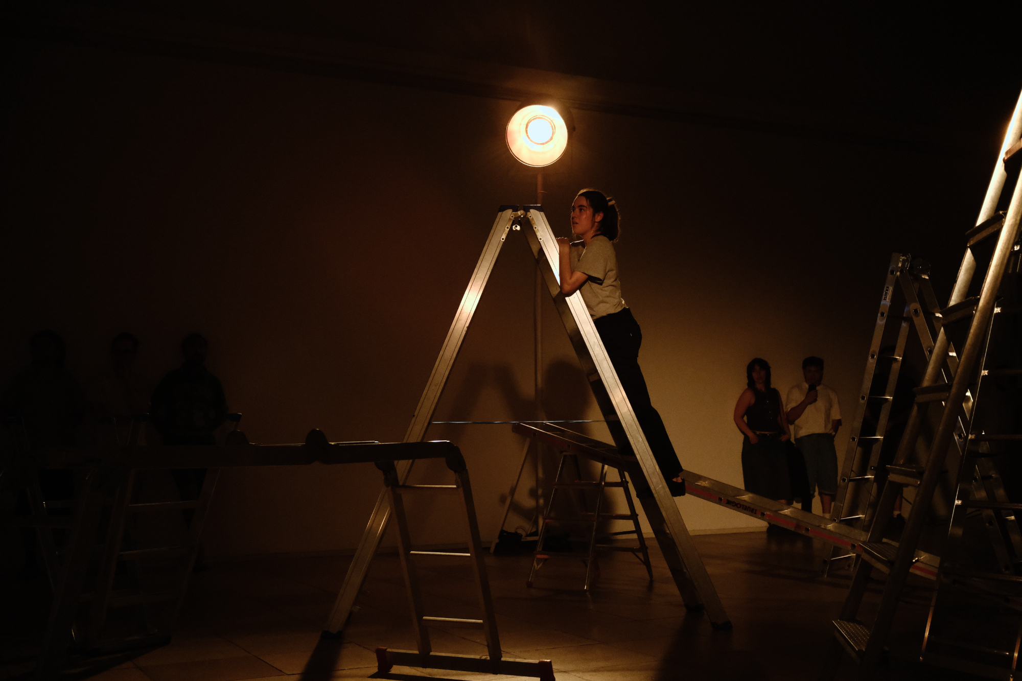 situated ladders (excerpt), 5